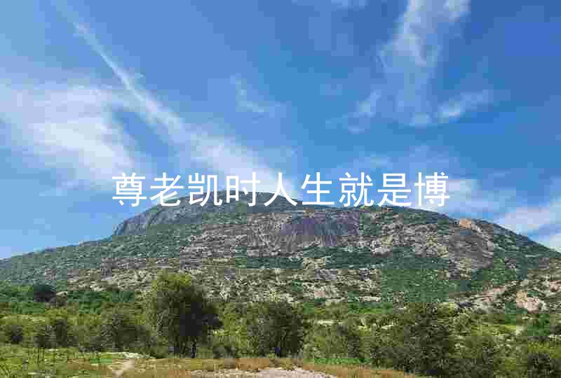 尊老凯时人生就是博