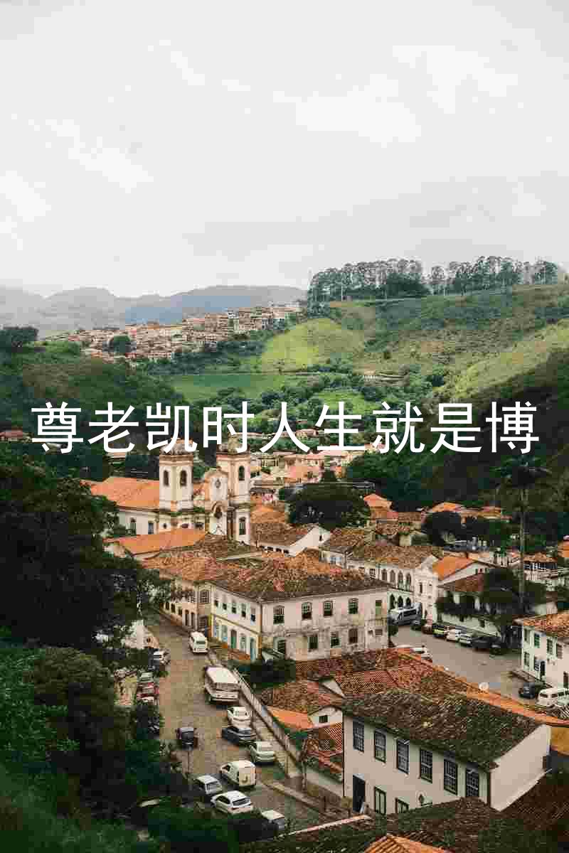尊老凯时人生就是博