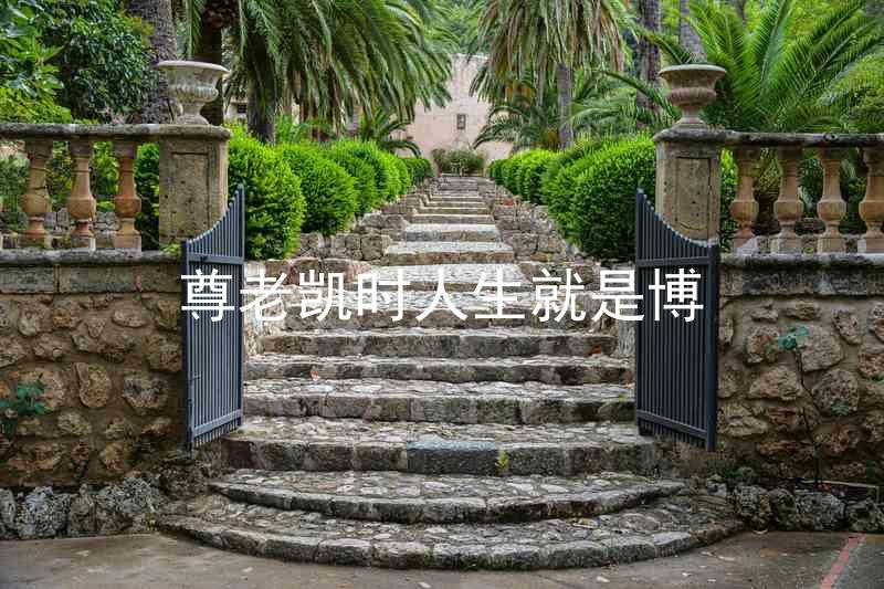 尊老凯时人生就是博